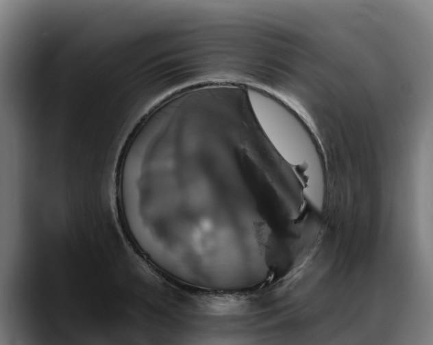 X0000088470895200705291547
