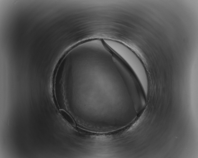 X0000088470896200705291547