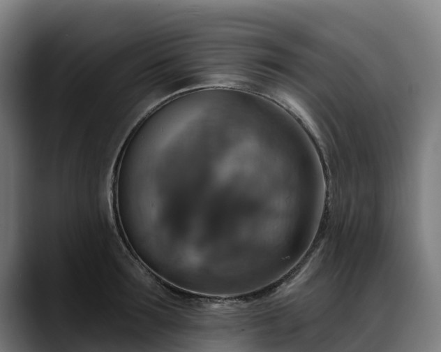 X0000088470899200705291547