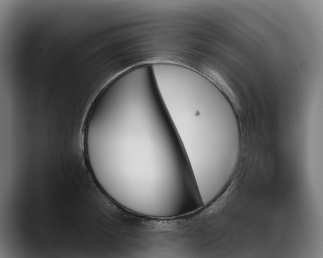 X0000088470900200705291547