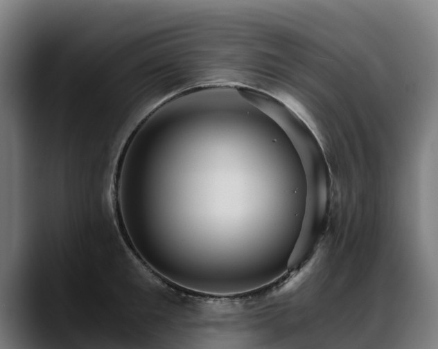 X0000088470901200705291547