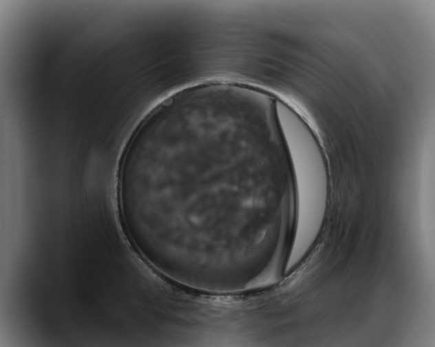 X0000088470903200705291547