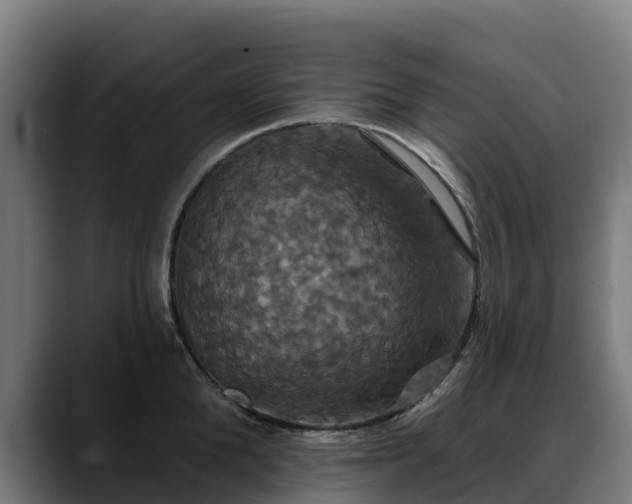 X0000088470904200705291547