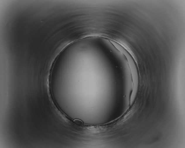 X0000088470906200705291547