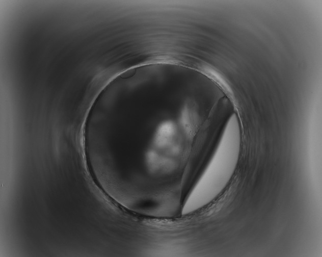 X0000088470907200705291546
