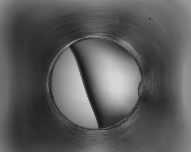 X0000088470908200705291546