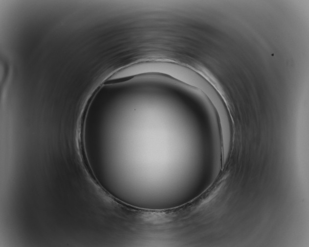 X0000088470909200705291546