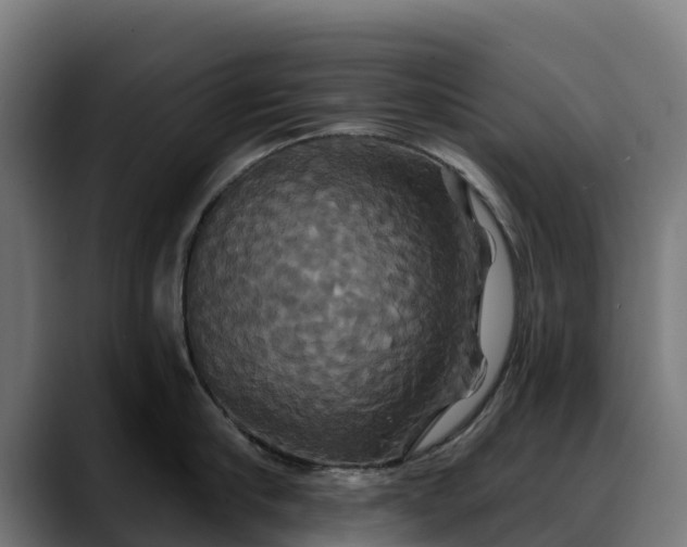 X0000088470910200705291546