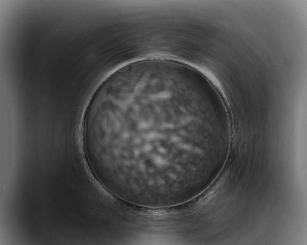 X0000088470911200705291546
