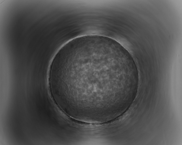 X0000088470912200705291546