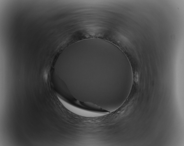 X0000088470915200705291546