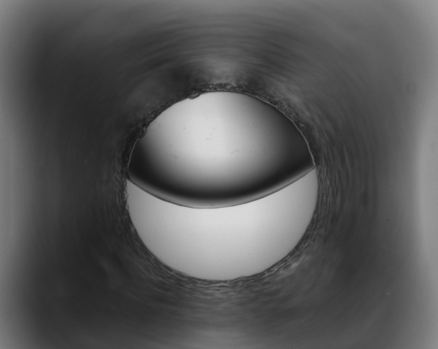 X0000088470916200705291546