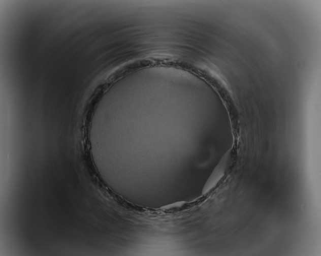 X0000088470920200705291546