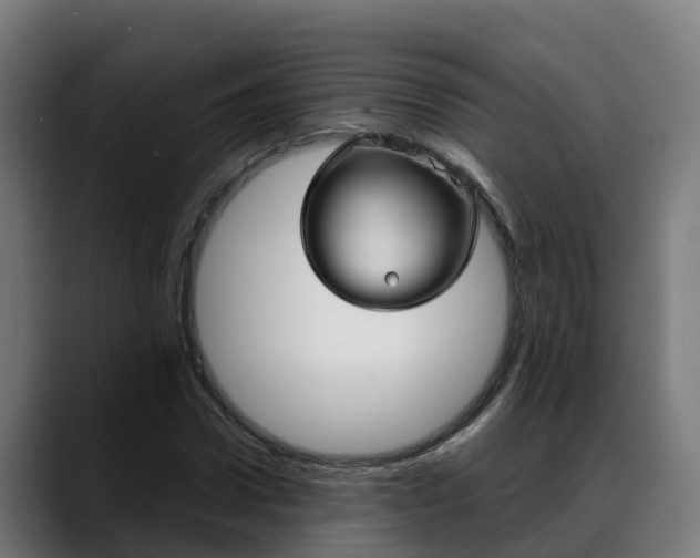 X0000088470922200705291546