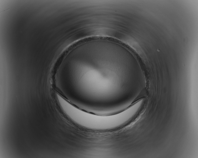 X0000088470926200705291546