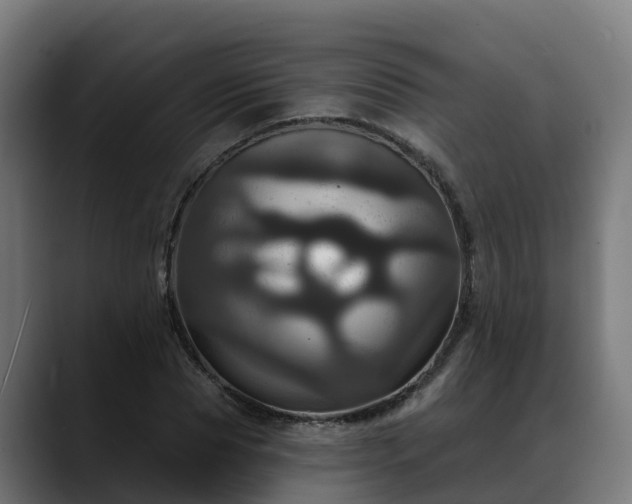 X0000088470929200705291546