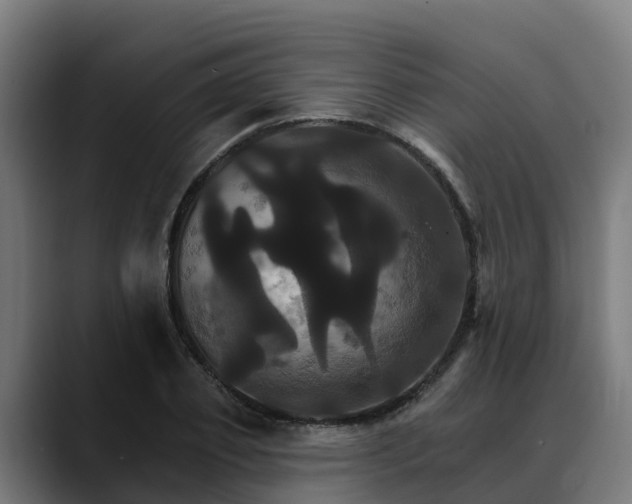 X0000088470933200705291546