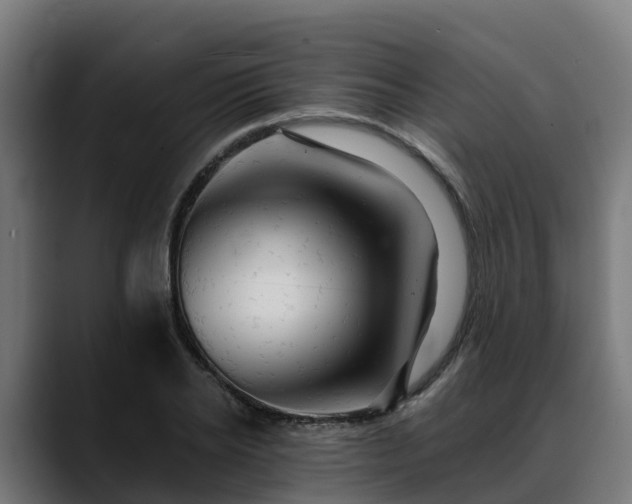 X0000088470934200705291546