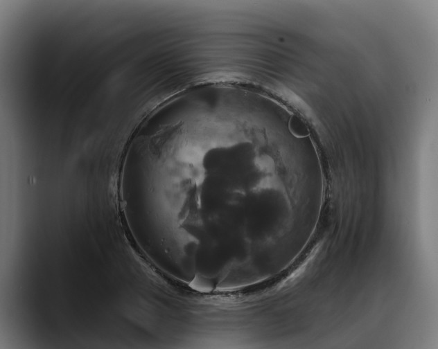 X0000088470937200705291546
