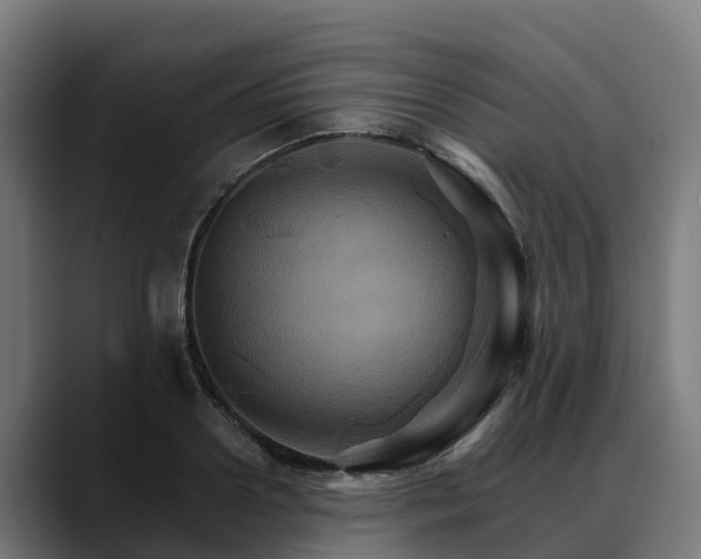 X0000088470938200705291546
