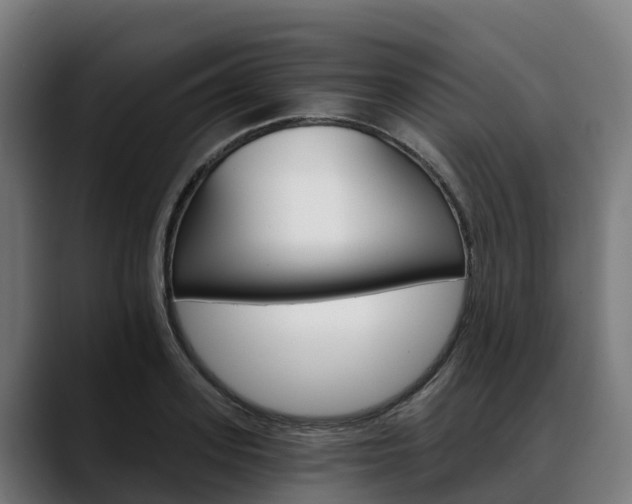 X0000088470939200705291546