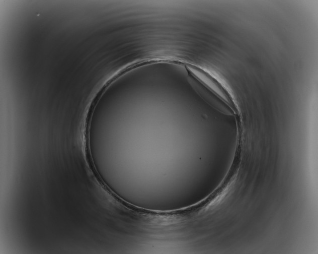 X0000088470941200705291546