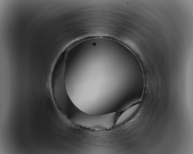 X0000088470942200705291546
