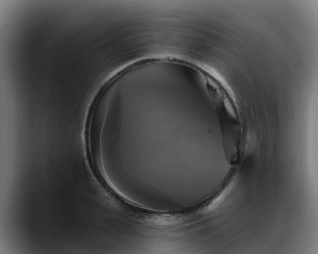 X0000088470943200705291546