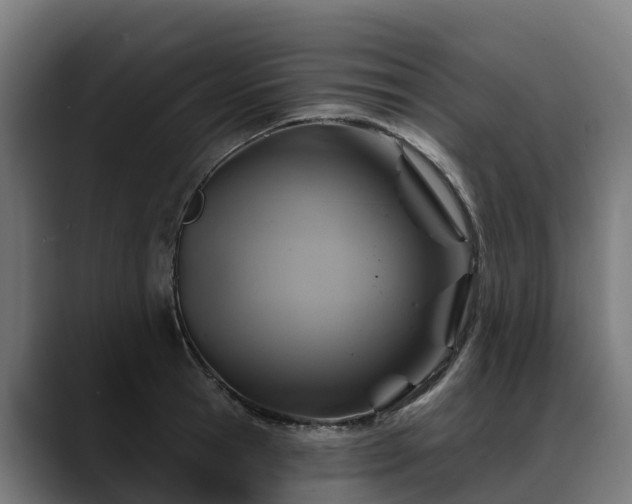 X0000088470945200705291546