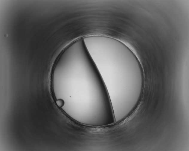 X0000088470949200705291546