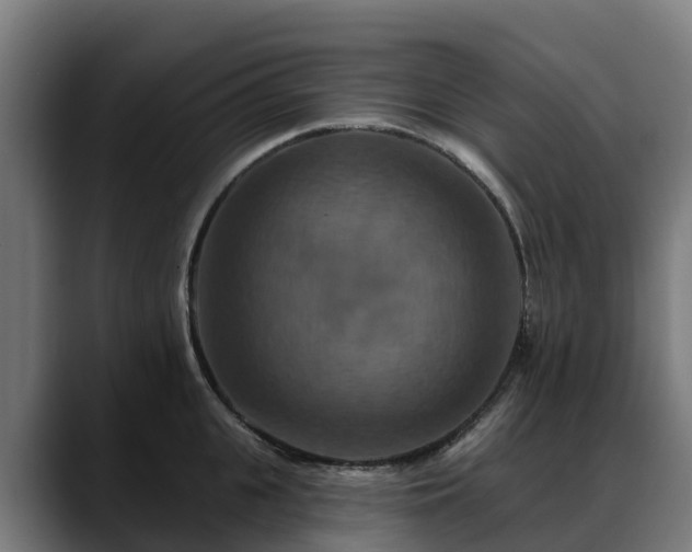 X0000088470951200705291546