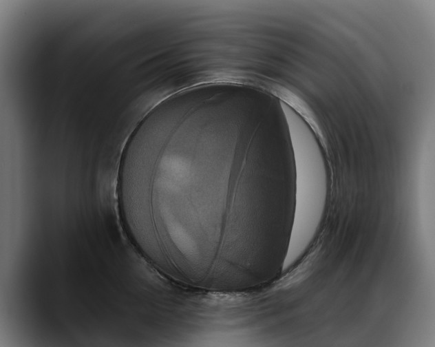 X0000088470954200705291546