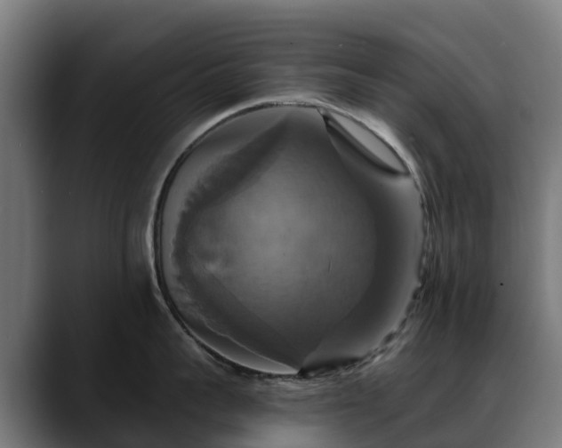 X0000088470959200705291546