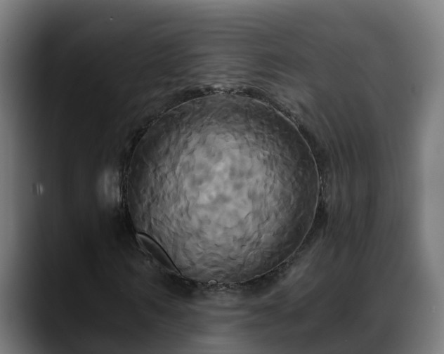 X0000088470962200705291546