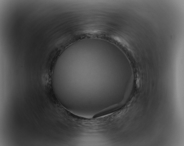 X0000088470966200705291546