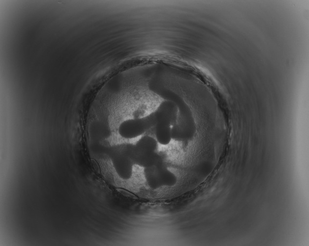 X0000088470967200705291546