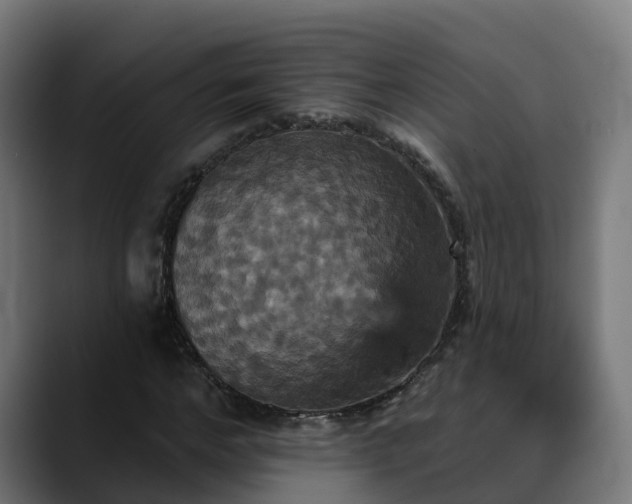 X0000088470968200705291546