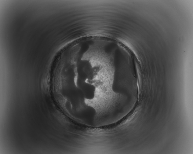 X0000088470971200705291546