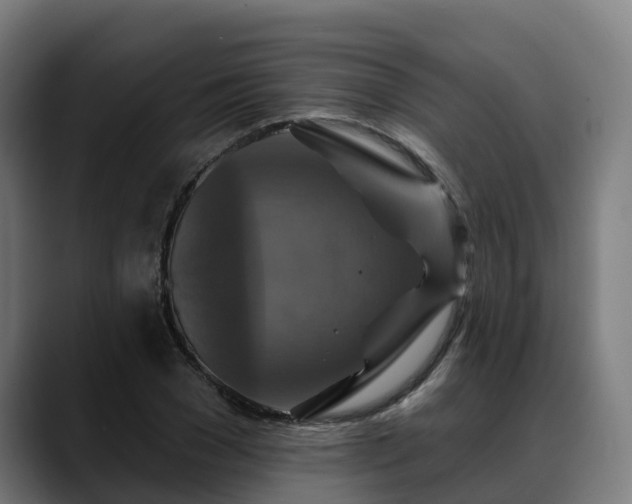 X0000088470977200705291546