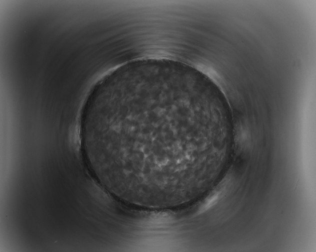 X0000088470979200705291546
