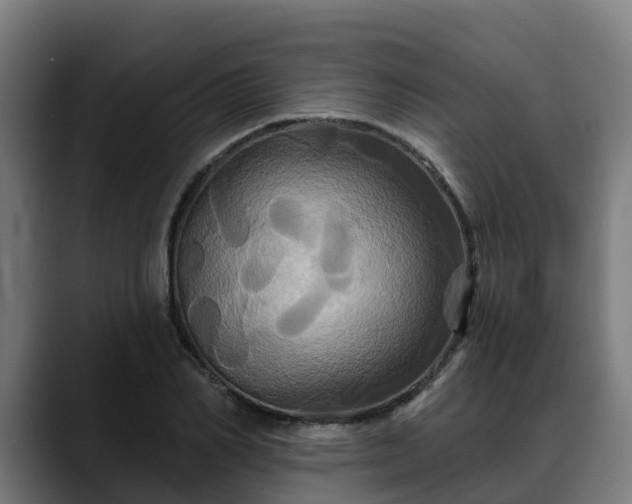 X0000088470982200705291546