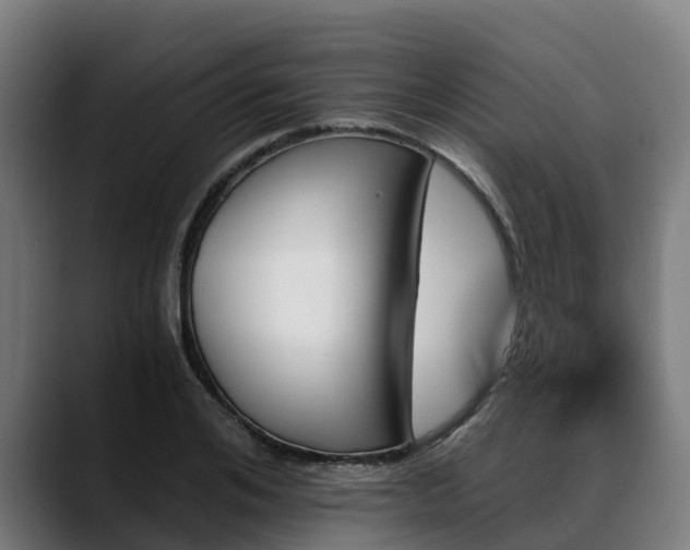 X0000088470984200705291546