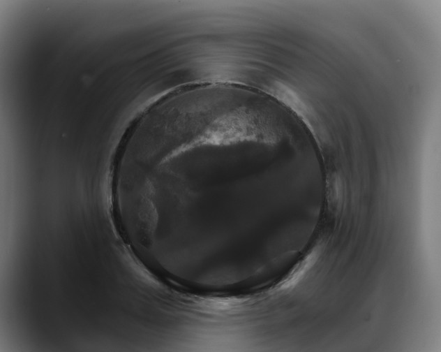 X0000088470987200705291546