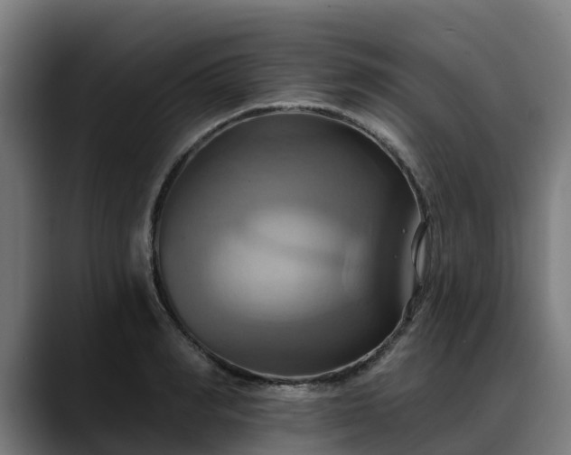X0000088470990200705291546