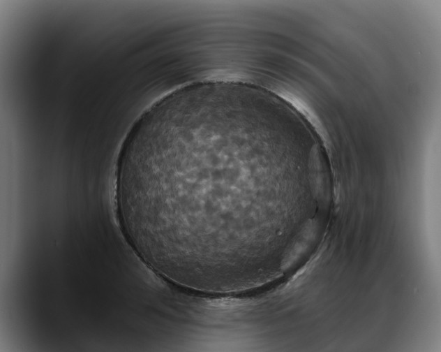 X0000088470992200705291546