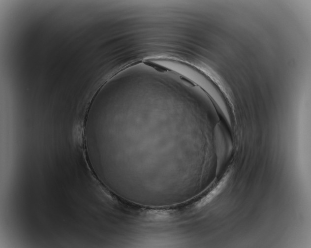 X0000088470993200705291545