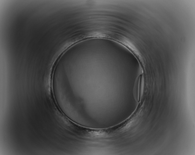 X0000088470994200705291545