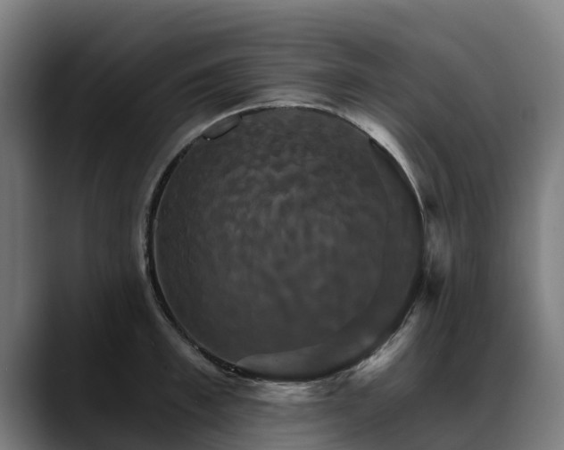 X0000088470997200705291545
