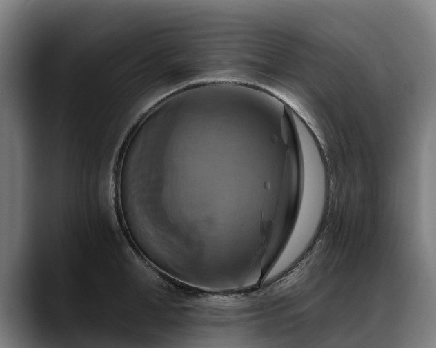 X0000088470998200705291545