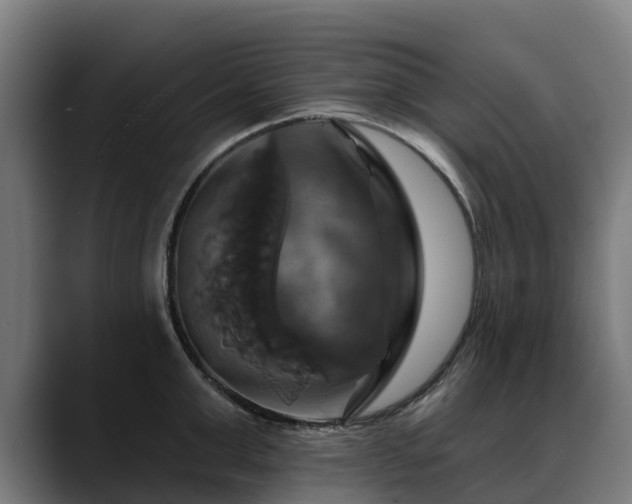 X0000088470999200705291545